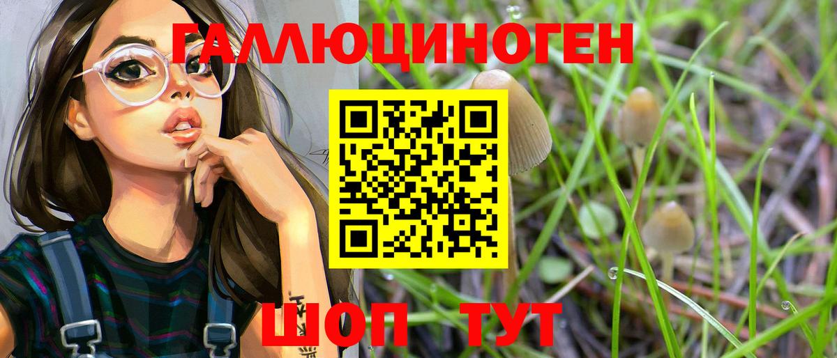 Галлюциногенные грибы ЛСД  Вход с VPN  Каменка  Галлюциногенные грибы Psilocybine cubensis 