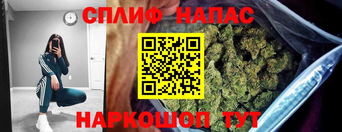 Конопля план  Шишки марихуана конопля  Каменка  Вход с VPN 